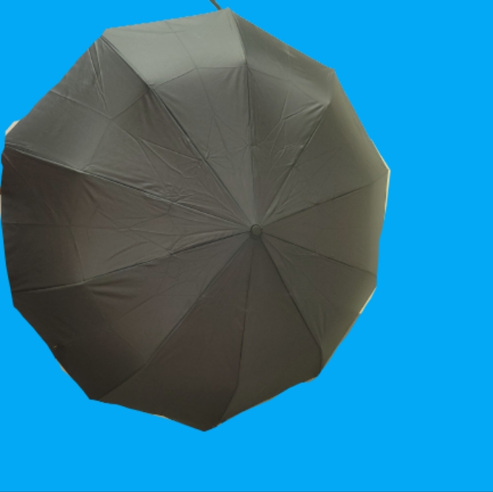 Hand Held Umbrella